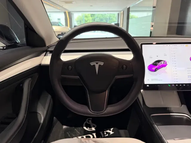 Tesla Model 3 — Фото автомобиля 19
