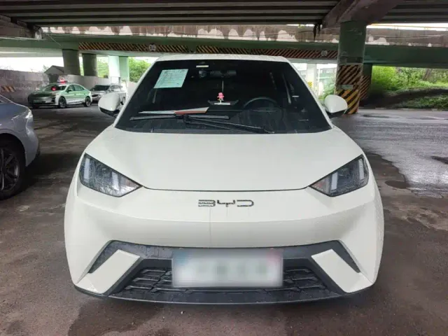 BYD Seagull 2024 Glory Edition 305km Freedom Edition — Фото автомобиля 2