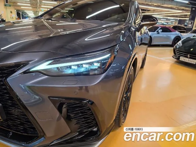 Lexus NX — Фото автомобиля 18
