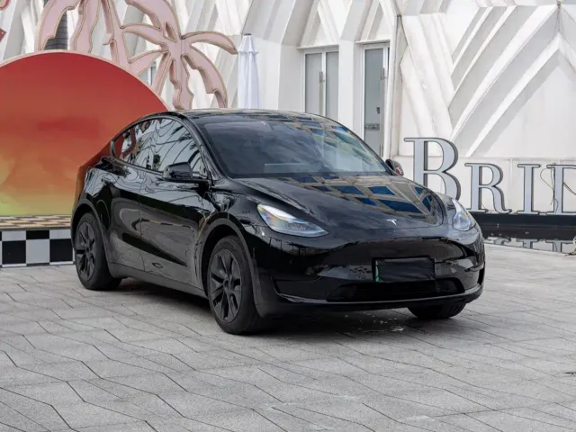 Tesla Model Y — Фото автомобиля 2
