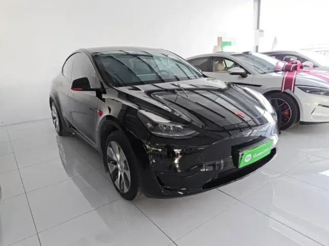 Tesla Model Y — Фото автомобиля 3