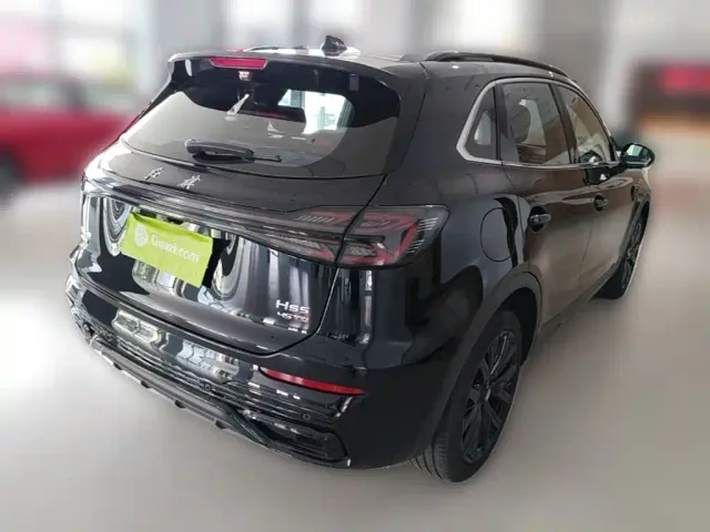 Hongqi HS5 — Фото автомобиля 11