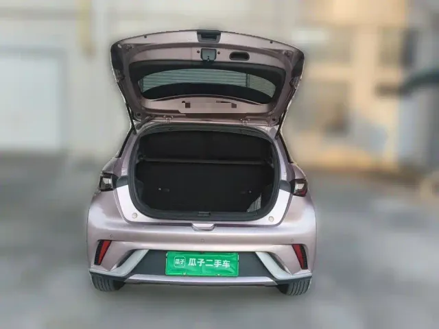 BYD Dolphin — Фото автомобиля 15