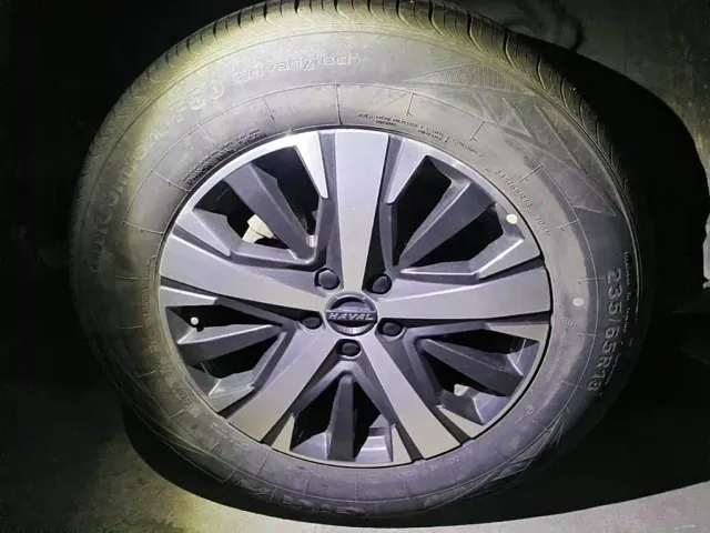 Haval Haval Big Dog 2021 1.5T DCT 2WD Labrador Edition — Фото автомобиля 7