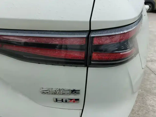 Haval Xiaolong MAX — Фото автомобиля 7