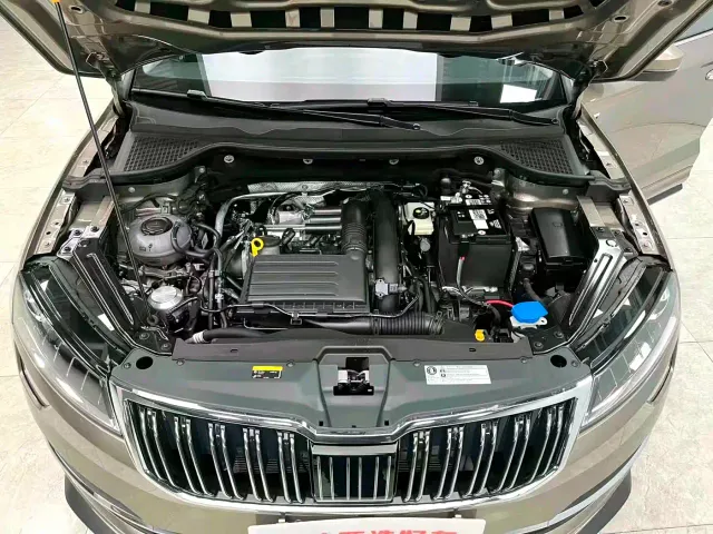 Skoda Karoq — Фото автомобиля 6