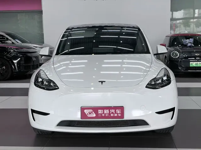 Tesla Model Y — Фото автомобиля 3