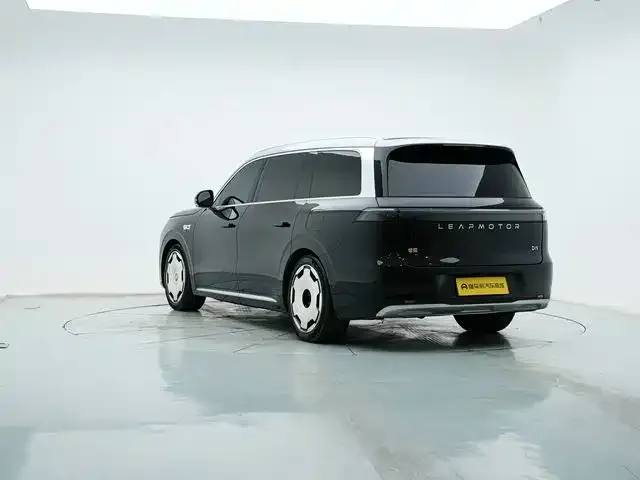 Leapmotor D Series — Фото автомобиля 8