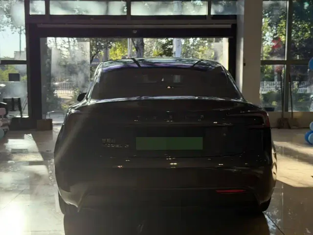 Tesla Model 3 — Фото автомобиля 8