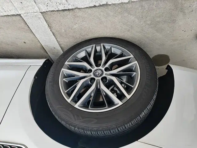 BYD Qin PLUS — Фото автомобиля 22