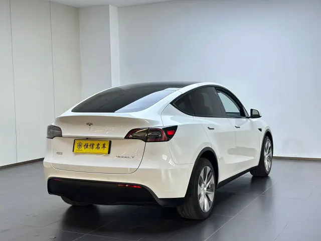 Tesla Model Y — Фото автомобиля 6