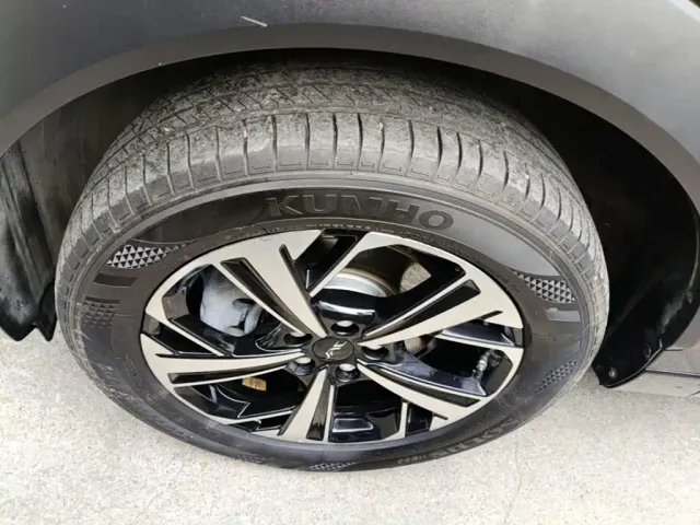 JAC Motors QX PHEV — Фото автомобиля 22