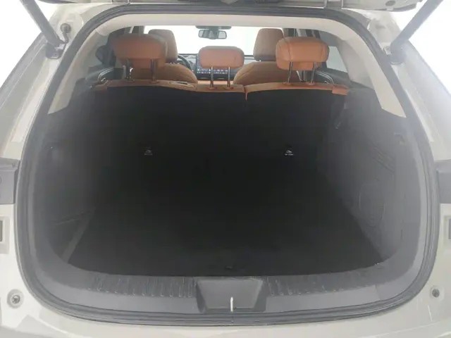 Haval Xiaolong MAX — Фото автомобиля 4