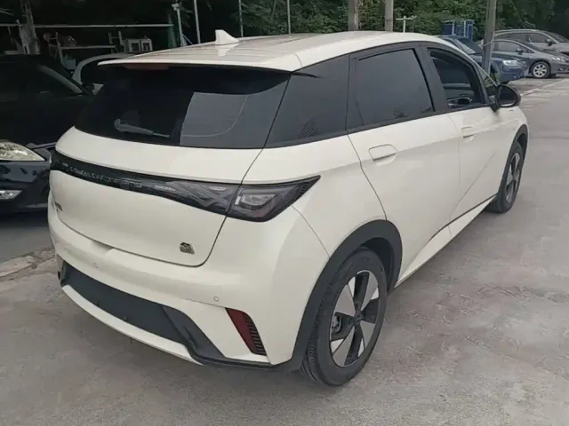BYD Dolphin — Фото автомобиля 6