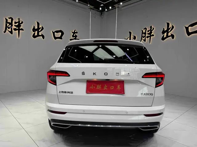 Skoda Karoq — Фото автомобиля 5