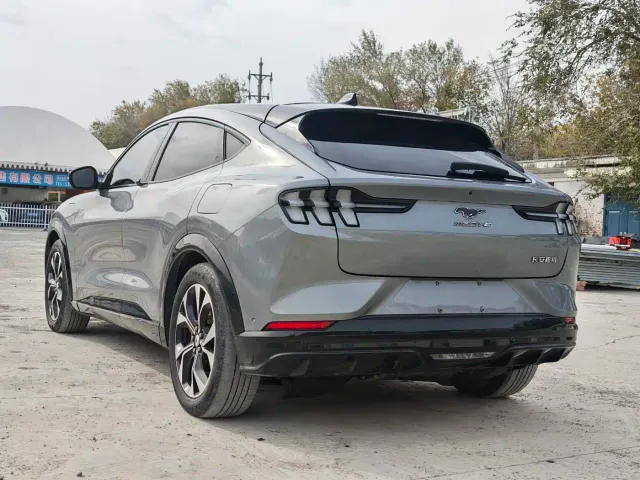 Ford Mustang Mach-E — Фото автомобиля 9