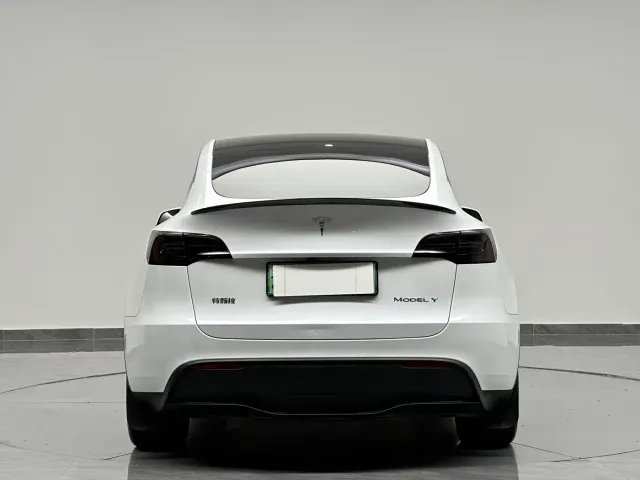 Tesla Model Y — Фото автомобиля 8