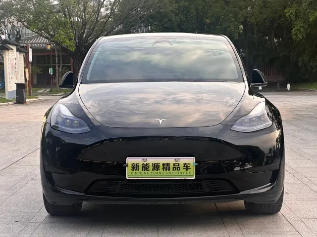 Tesla Model Y — Фото автомобиля 2