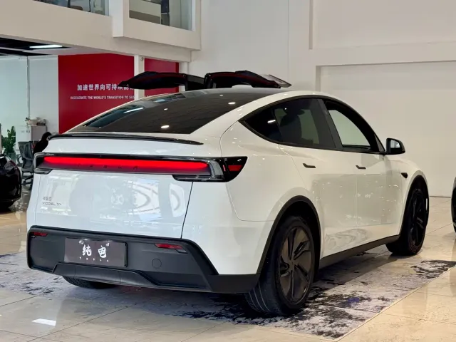 Tesla Model Y — Фото автомобиля 16