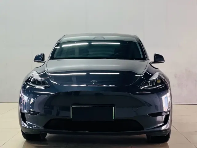 Tesla Model Y — Фото автомобиля 2