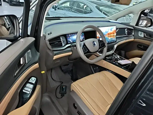 Denza D9 — Фото автомобиля 15