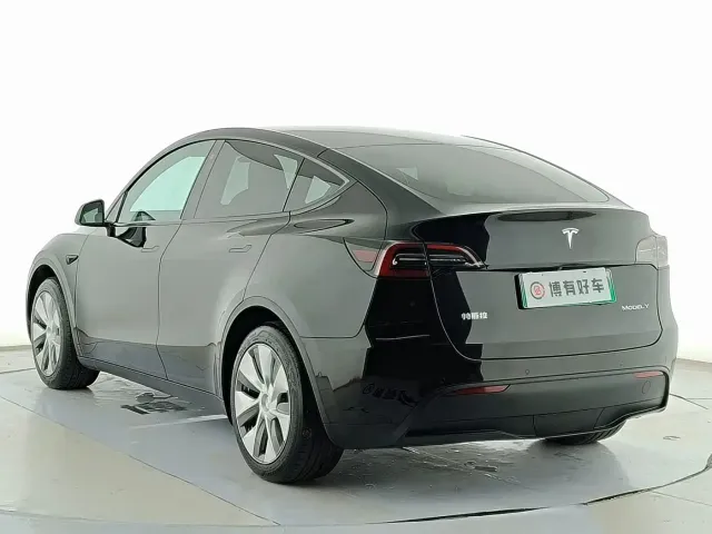 Tesla Model Y — Фото автомобиля 6