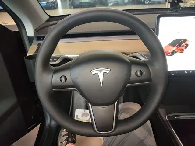 Tesla Model Y — Фото автомобиля 10