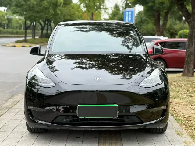 Tesla Model Y — Фото автомобиля 2