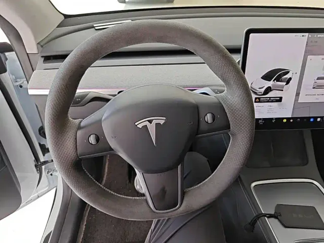 Tesla Model Y — Фото автомобиля 10