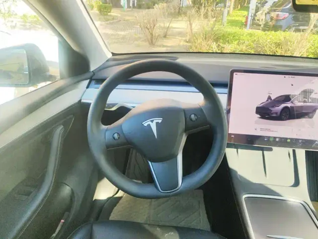 Tesla Model Y — Фото автомобиля 15