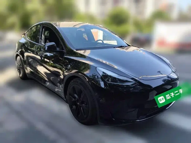 Tesla Model Y — Фото автомобиля 3