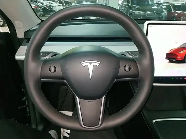 Tesla Model Y — Фото автомобиля 10