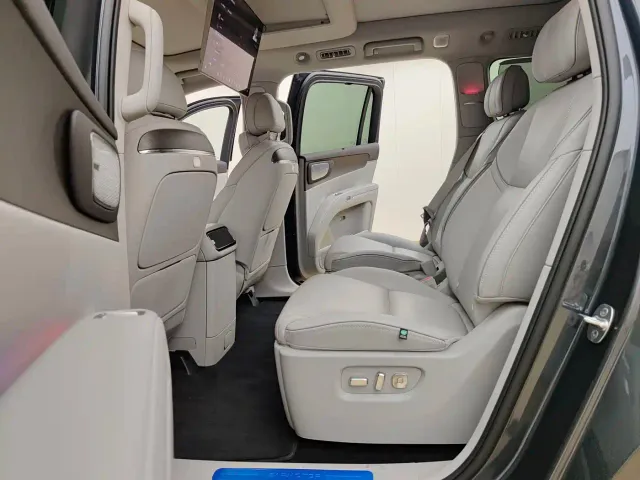 Leapmotor D Series — Фото автомобиля 11