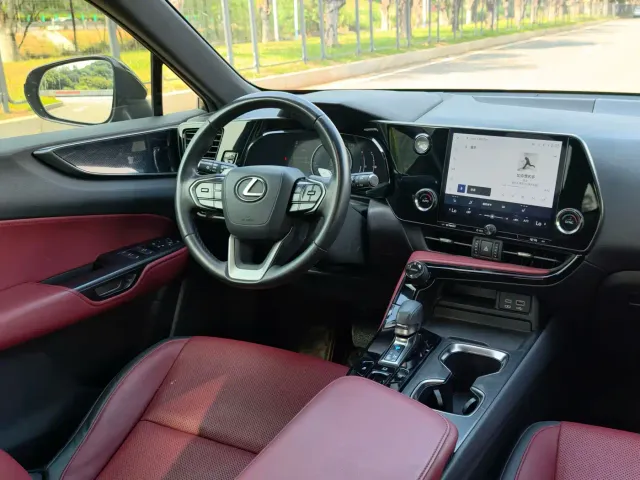 Lexus NX — Фото автомобиля 20