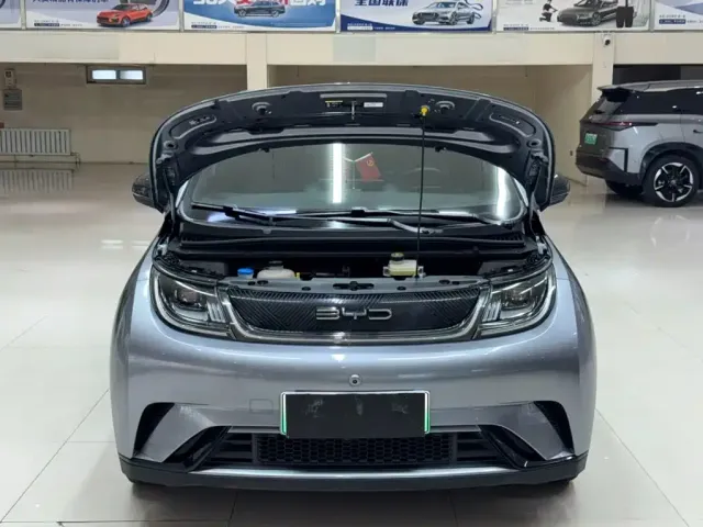 BYD Dolphin — Фото автомобиля 7