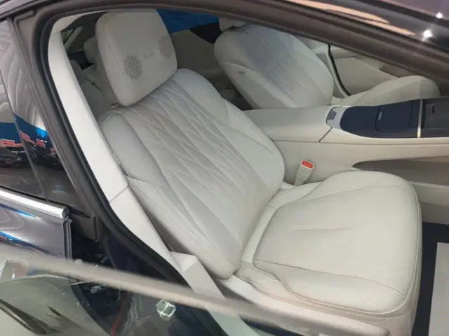 Buick Electra L7 — Фото автомобиля 24