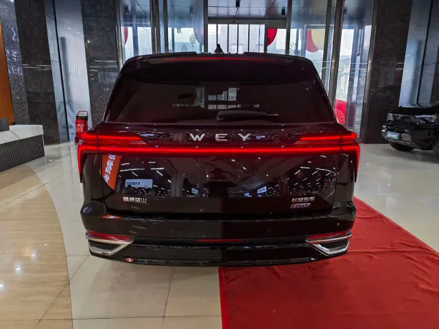 Wey Lanshan — Фото автомобиля 12