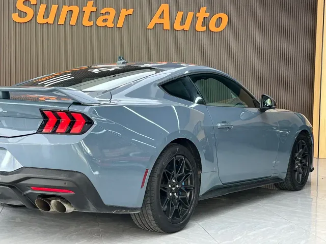 Ford Mustang — Фото автомобиля 19