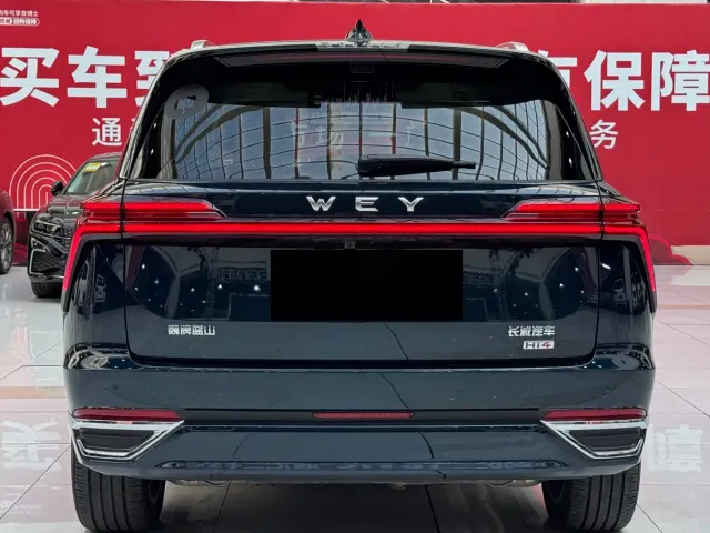 Wey Lanshan — Фото автомобиля 29