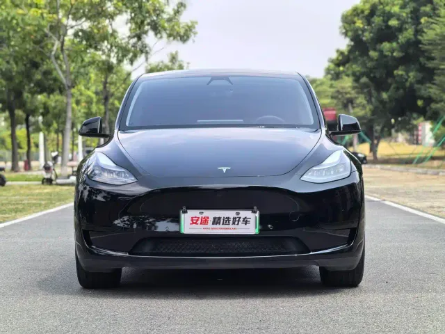 Tesla Model Y — Фото автомобиля 2