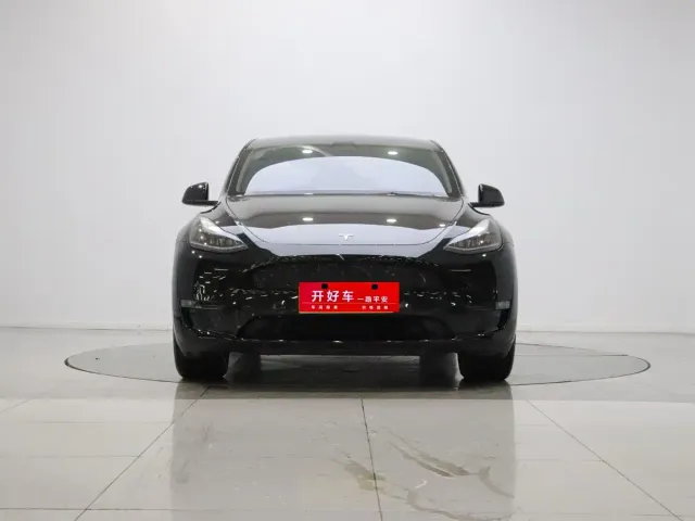 Tesla Model Y — Фото автомобиля 2