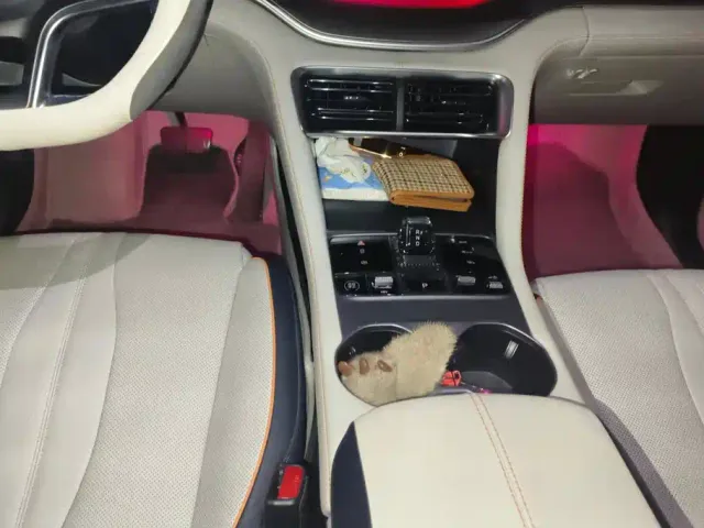 BYD Song PLUS — Фото автомобиля 16