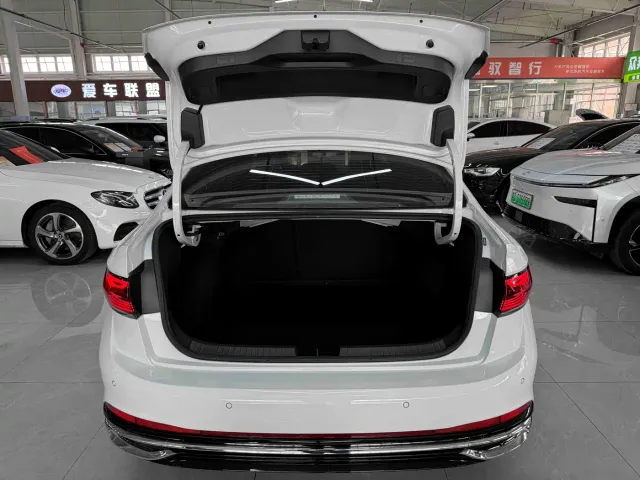 Volkswagen Sagitar — Фото автомобиля 18