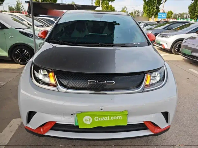 BYD Dolphin — Фото автомобиля 2