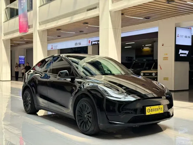 Tesla Model Y — Фото автомобиля 3