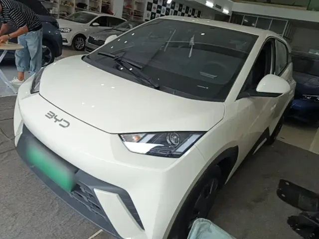 Фотография автомобиля — BYD Seagull