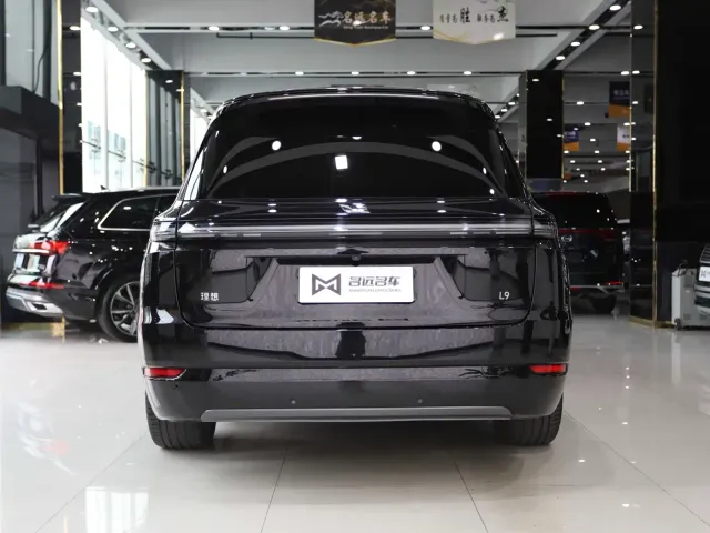 Li Auto L9 — Фото автомобиля 14
