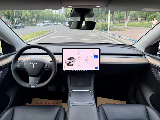 Tesla Model Y — Фото автомобиля 10