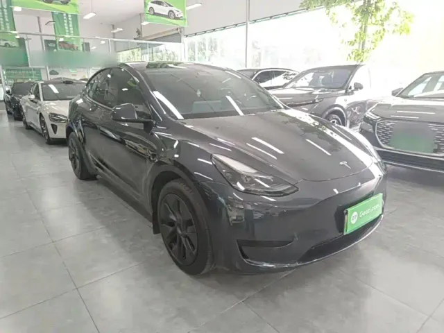 Tesla Model Y — Фото автомобиля 3