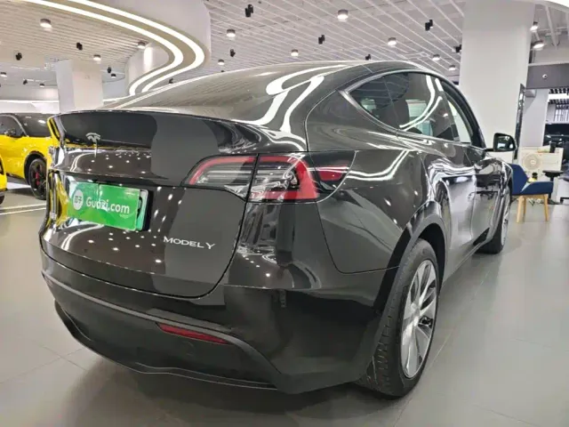 Tesla Model Y — Фото автомобиля 6